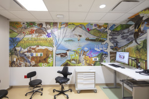 Northern California Landscapes