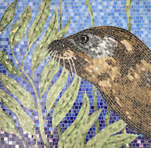 Wildlife at the Rocky Shore