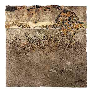 Industrial Fossil