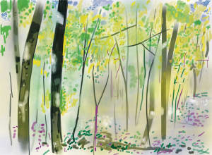 Camp, Great River Bluff