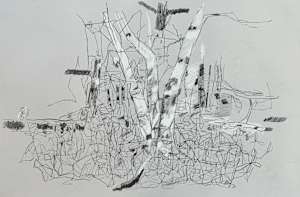 Birch Trees, Bear Head Lake