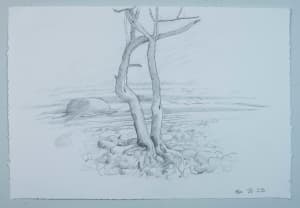 Two Trees Grand Marais