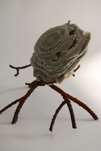 Emergence