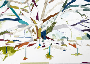 Carousel 34° 24' 49.45" N  119° 41' 38.15" W Moreton Bay Fig SB V