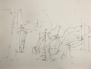 Magnolia Stellata II The Dance (Matisse)