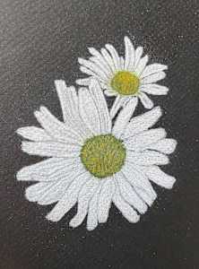 Beauty Found - Daisies