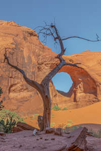 Valley of Sculpture