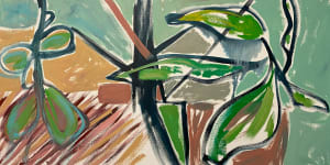 Abstract Study (potted plant no.5)