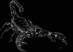 O, Full of Scorpions is my Mind