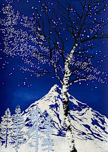 Nights over Finnland