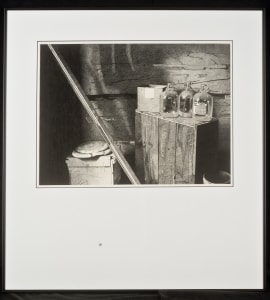 Cider Bottles