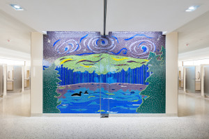 Northern Lights: Summer Swim