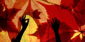 Human Intersection with Nature Through Time and Place in Minnesota