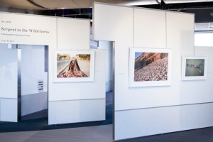 Serpent in the Wilderness