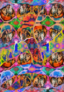 Evocations Carpet
