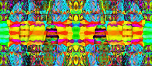 Hermaphrodite Pattern