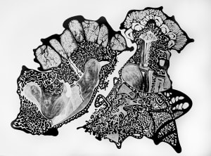 L'uccello muto 2