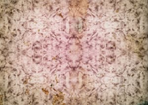 L'aspirazione è svanita