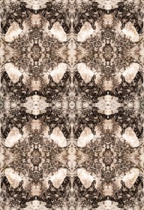 La fleur des ramages