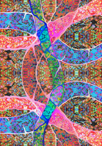 Ruins Awakening Anew 1