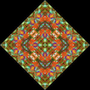 Selisoom Tile
