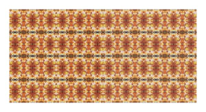 Spirits of the Forest