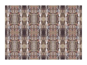 Wise Shields Carpet