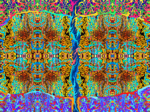 Wood Becoming a Village