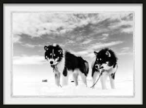 I have Loved you Wrong 1/12