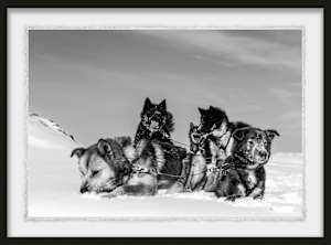 Heroes of Svalbard 1/12