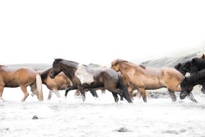 Somewhere in the middle 2/20 24X36"