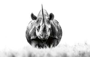 With Sonia 1/12 24X36"