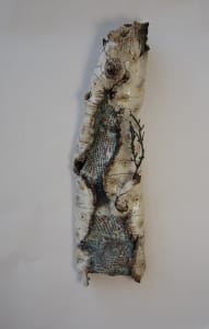 Secret Life of .... Snakeskin