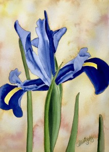 Blue Flag