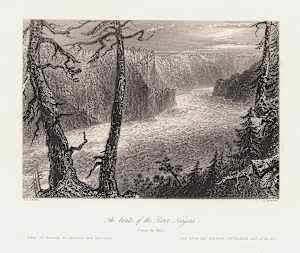 The banks of the River Niagara (below the falls)