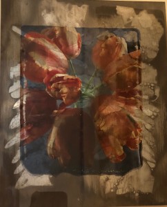 Roses interrupted