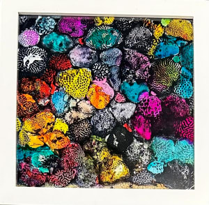 Coral in Living Color 2 (framed)
