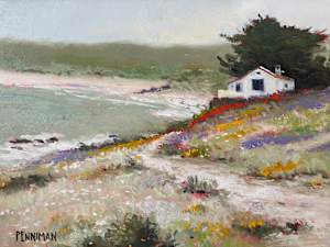 Home on Spanish Bay II