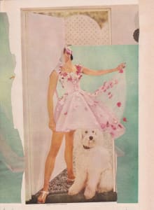 Dance of the Shaggy Dog
