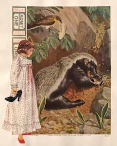 Molly Can Do a Little to Curb Roberts’s Habit