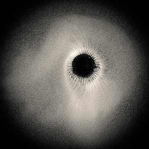 spore print #3