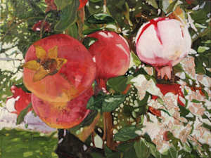 Whitewashed Pomegranate