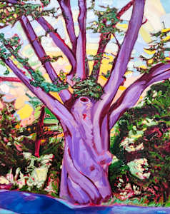 Dover Oak