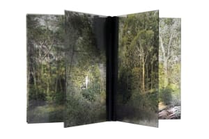 Forest de la serie "Ad infinitum"