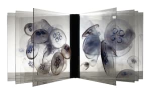 Aquarium de la serie "Ad infinitum"