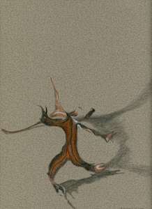 Dancing Leaf