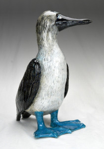 BLUE FOOTED BOOBY