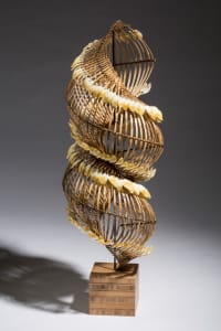 Spira Penna