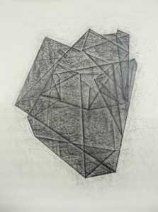 A Fossil (8)