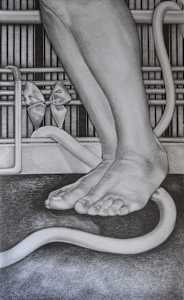 Animal Farm 1